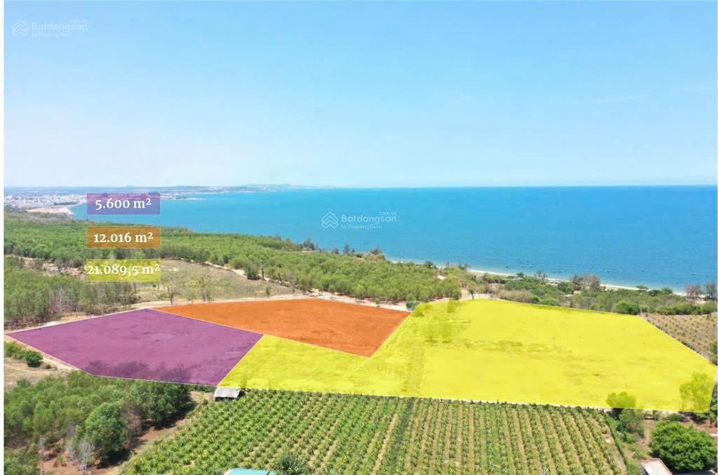 8 triệu /m2 300 tỷ / góc 3 mặt tiền thôn tiến bình view biển 270x100m cn 38.000m2