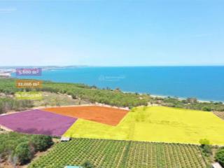 8 triệu /m2  300 tỷ / góc 3 mặt tiền  thôn tiến bình view biển  270x100m  cn 38.000m2