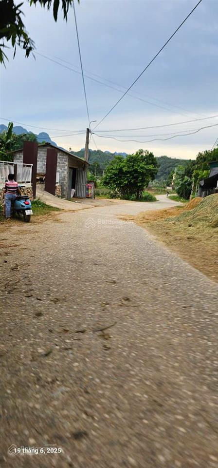 Chính chủ cần bán 8.000m2 đất khoáng nóng tại kim bôi, hòa bình
