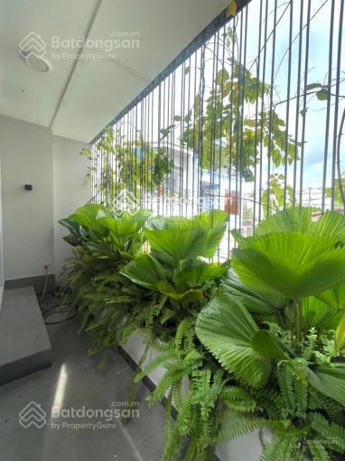 Thật 100% thu 400 triệu/tháng 46 phòng 10mx17m. 160m2 hầm 7l hẻm 8m gần bùi thị xuânnguyễn trãi q1