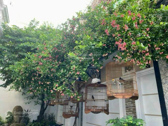 Rẻ hơn 35% thật 100% biệt thự 330m2(12x30m) hồ bơi 3 lầu nguyễn văn hưởng, thảo điền, q2