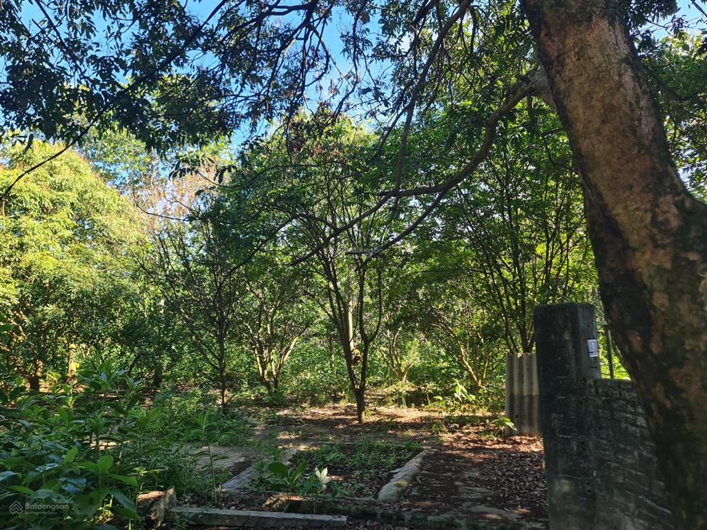 Bán lô đất gần 4000m2 view hồ, mặt đường nhựa tỉnh lộ,tựa sơn hướng thủy mt 45m, sổ đỏ chính chủ