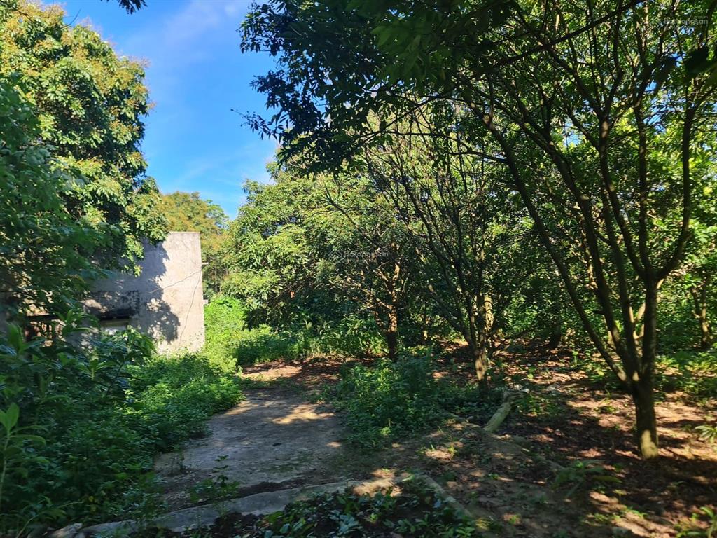 Bán lô đất gần 4000m2 view hồ, mặt đường nhựa tỉnh lộ,tựa sơn hướng thủy mt 45m, sổ đỏ chính chủ