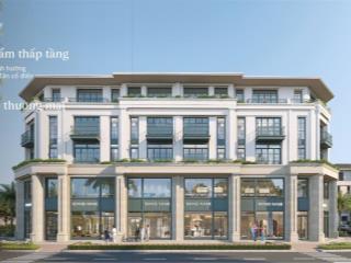 Liền kề 120m² alluvia city sổ đỏ vĩnh viễn, không gian sống nghỉ dưỡng ngay sát hà nội