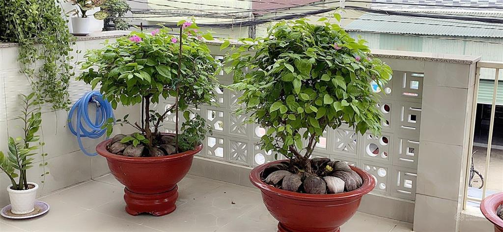 Nhà mặt tiền 82.6m2, 2 phòng ngủ, đường 16, p. long bình, tp. thủ đức