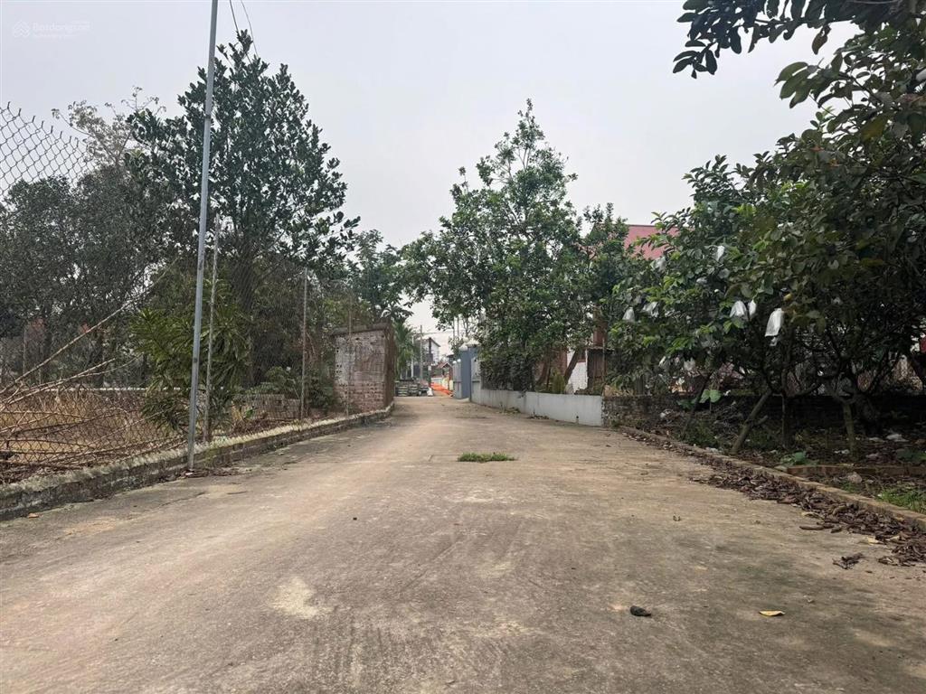 4.4 tỷ sở hữu 125,6m2 thôn quán trạch, xã văn giang, mặt tiền 6m vuông bánh chưng sát dự án vd4