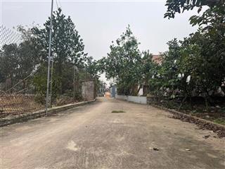 4.4tỷ sở hữu 125,6m2 thôn quán trạch, xã văn giang, mặt tiền 6m vuông bánh chưng sát dự án vd4