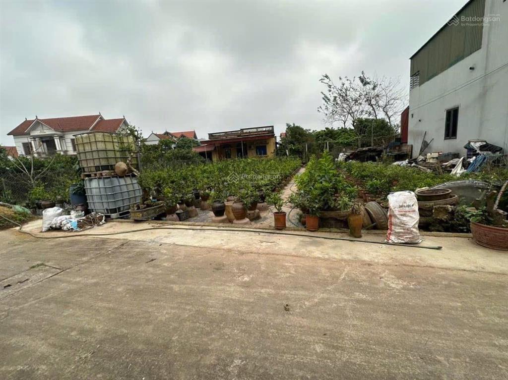 4.4 tỷ sở hữu 125,6m2 thôn quán trạch, xã văn giang, mặt tiền 6m vuông bánh chưng sát dự án vd4