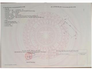 Chính chủ gửi 85,4m2 đất làng hoa cây cảnh giàu có phụng công  văn giang chỉ với 5 tỷ chẵn