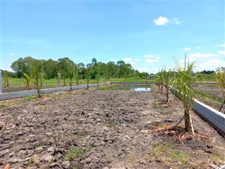 Bán đất vườn hồ văn tắng, 1,5 tỷ, 600 m2, pháp lý đầy đủ, lên thổ cư được
