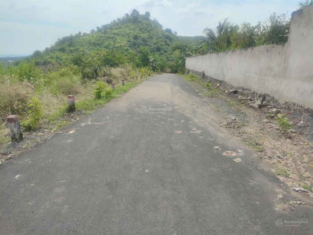 Đất sào đường nhựa giá rẽ chỉ 300triệu /1 sào gần khu dân cư. 0989 250 ***