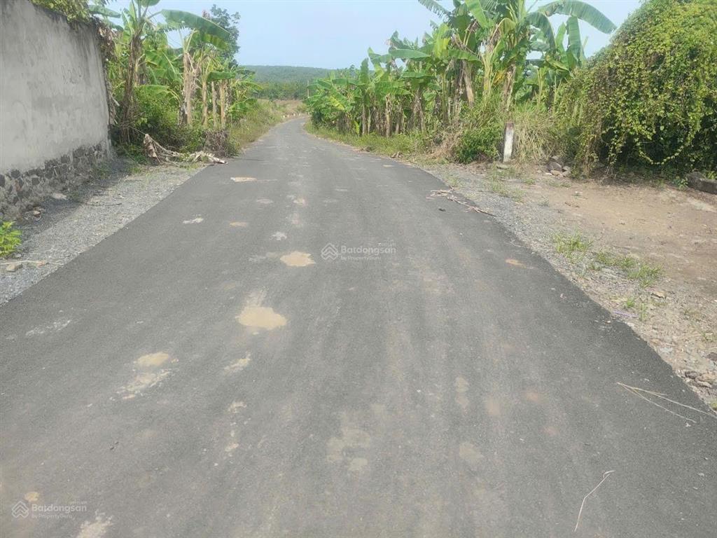 Đất sào đường nhựa giá rẽ chỉ 300triệu /1 sào gần khu dân cư. 0989 250 ***