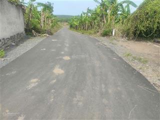 Đất sào đường nhựa giá rẽ chỉ 300triệu /1 sào gần khu dân cư. 0989 250 ***