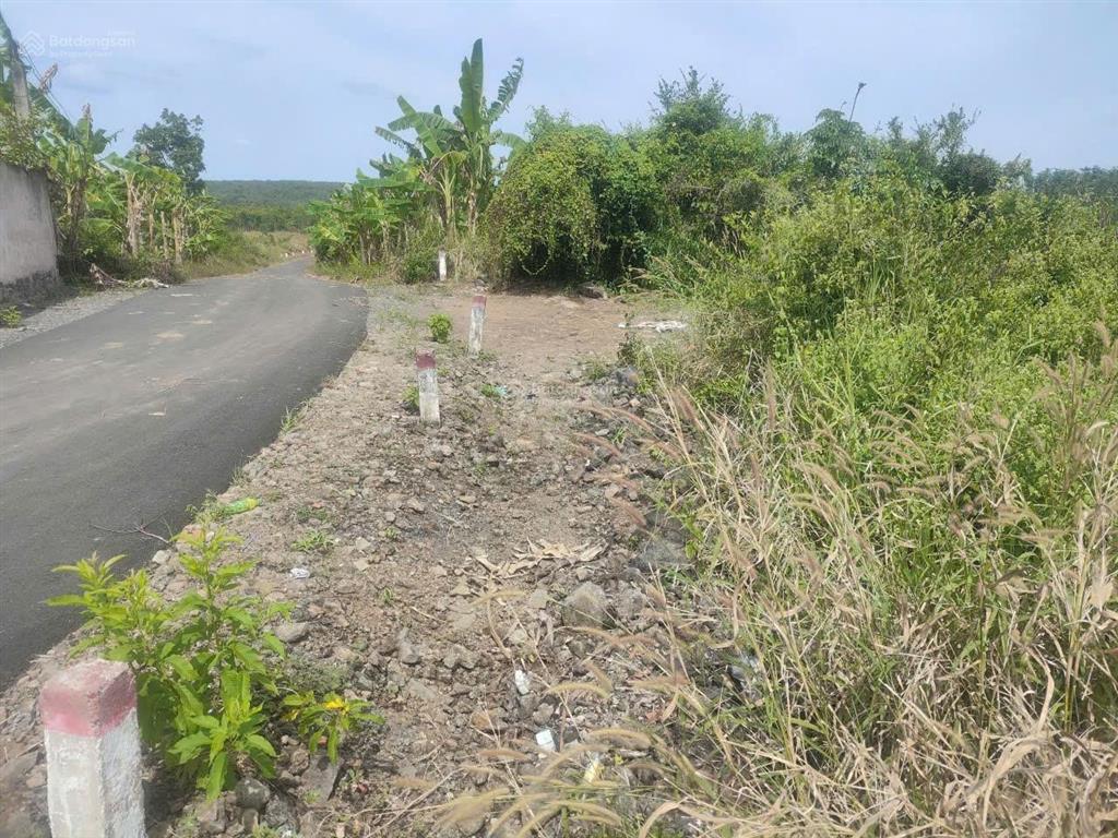 Đất sào đường nhựa giá rẽ chỉ 300triệu /1 sào gần khu dân cư. 0989 250 ***