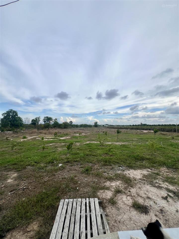 Bán đất chính chủ ngay khu dinh thầy thím (lâm đồng) diện tích 12.000m2