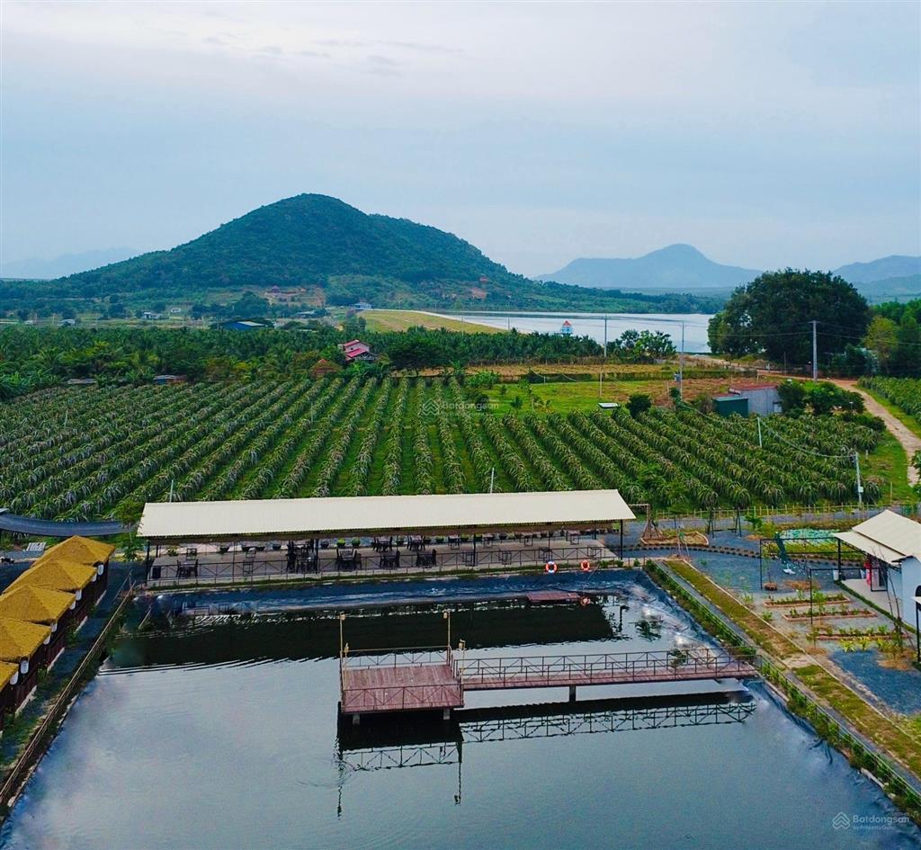 Bán đất chính chủ ngay khu dinh thầy thím (lâm đồng) diện tích 12.000m2