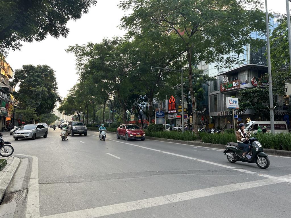 Bán nhà riêng láng hạ, 170m2 x mt 7,5m, thửa đất hoa hậu, hiếm nhà bán, giảm chỉ còn 55,8 tỷ