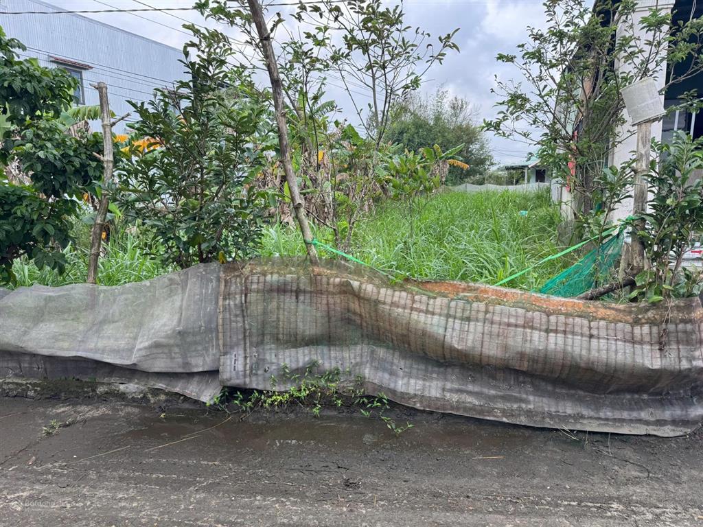 Dung cần bán lô nền vip thăng bình cách quốc lộ 1a chỉ 100m (8x34 có 250m thổ cư)