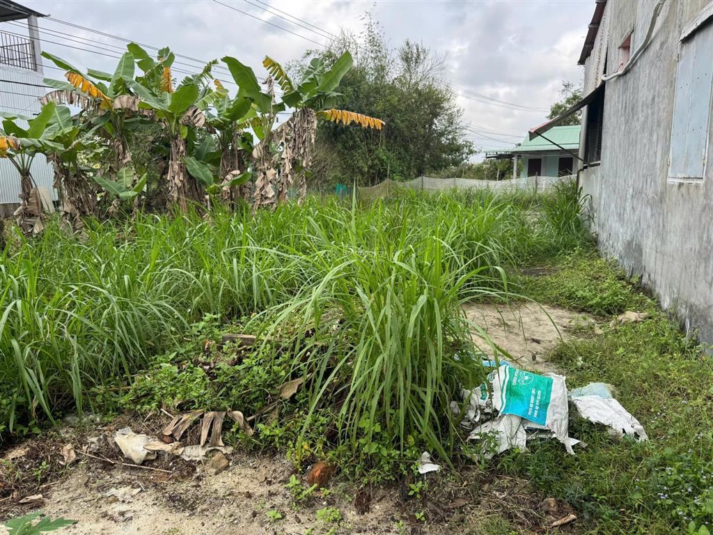 Dung cần bán lô nền vip thăng bình cách quốc lộ 1a chỉ 100m (8x34 có 250m thổ cư)