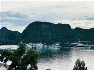 Cần bán lô đất mặt đường bến bèongay trung tâm vịnh lan hạ