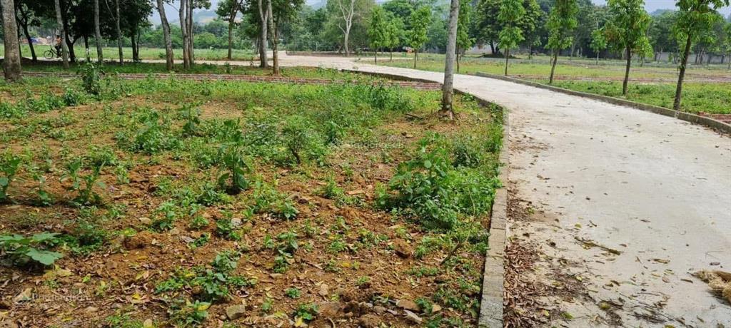 Cần bán nhanh lô đất đẹp dt 864m2  200m2 ont, mặt tiền 25m giá đầu tư rẻ hơn khu vực rất nhiều