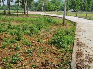 Cần bán nhanh lô đất đẹp dt 864m2  200m2 ont, mặt tiền 25m giá đầu tư rẻ hơn khu vực rất nhiều