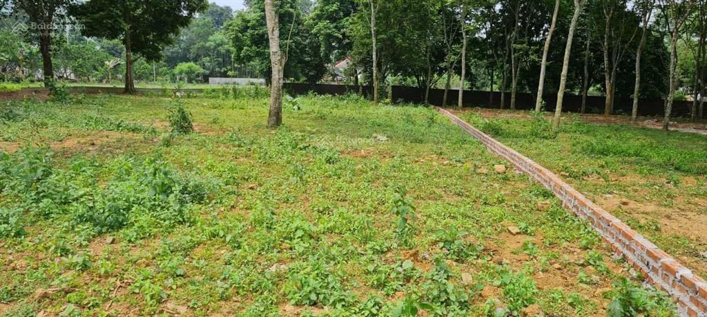 Cần bán nhanh lô đất đẹp dt 864m2  200m2 ont, mặt tiền 25m giá đầu tư rẻ hơn khu vực rất nhiều