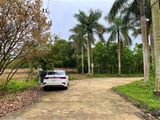 Gửi tới nhà đầu tư lô đất đẹp cách trục chính nhuận trạch 200m sát vách kcn giá đầu tư rẻ nhất khu