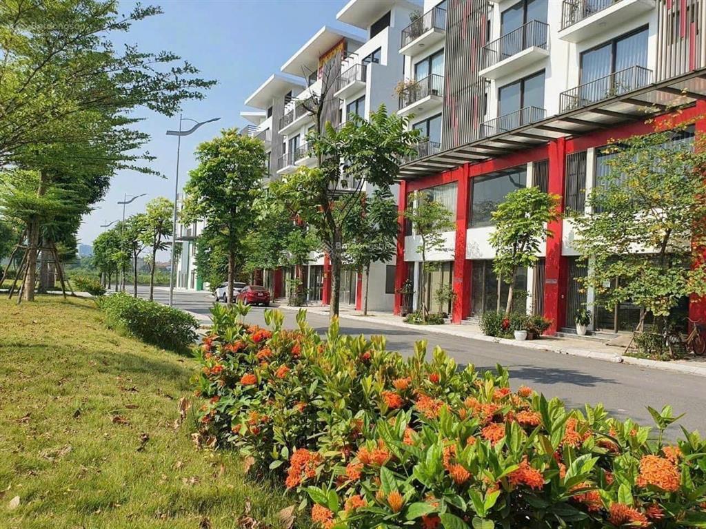 Hạ chào 600 triệu. hàng vip đẹp nhất ngọc thụy. chính chủ gửi bán shophouse khai sơn, nt