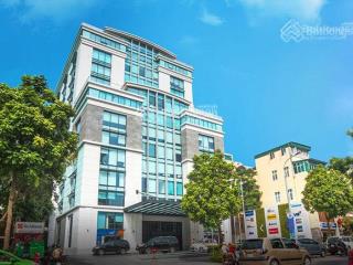 Vp cho thuê phố phan chu trinh, q. hoàn kiếm, 30m2, 40m2, 70m2, 500m2, giá 230 nghìn/m2/th