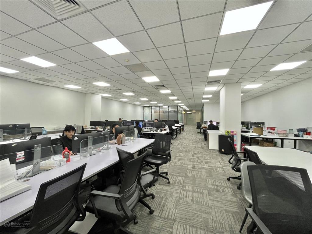 Cho thuê văn phòng tòa nhà star tower dương đình nghệ, cầu giấy, hà nội dt từ 50~1000m2..