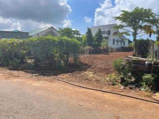 Bán đất 451m2, 2tỷ 850tr mt đg nguyễn đình chiểu, thị trấn đất đỏ, bà rịa vũng tàu giá tốt
