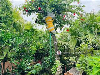Bán bt vườn đào, tây hồ, 110m2, 7t, thang máy full nội thất sân vườn view khuôn viên ở ngay, 52tỷ