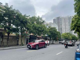 Bán nhà mp hạ yên quyết, cầu giấy, khu nhà lk mp cán bộ 5.2ha, 120m2, 3tầng, đường 30m nhỉnh 60tỷ