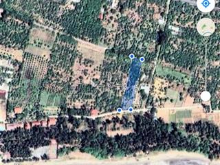 Bán đất 3000m2 sát biển, đối diện da vinhomes cần giờ. hai mặt tiền trước sau phù hợp kinh doanh