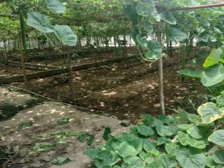 Bán đất vĩnh lộc, 30 triệu / m2, 131 m2, view đẹp