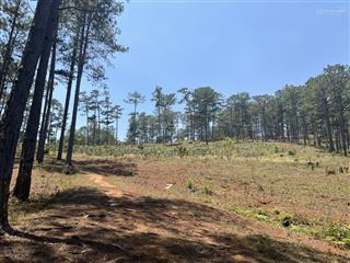 Bán đất tại đạ nhim, lạc dương, lâm đồng, 3 tỷ, 5300m2, giá ưu đãi chính chủ