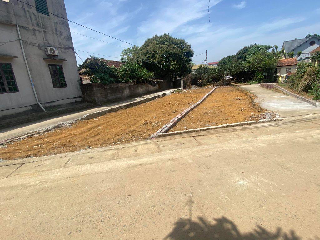 BÁN ĐẤT ĐÔNG YÊN - ÔTÔ CON TRÁNH - FULL THỔ CƯ - KHẢ NĂNG SINH LỜI CAO 100M 5MT GIÁ 3.5TỶ