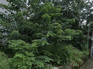 Bán 105 m2 đất tại mặt đường nguyễn tất thành, việt trì, phú thọ.