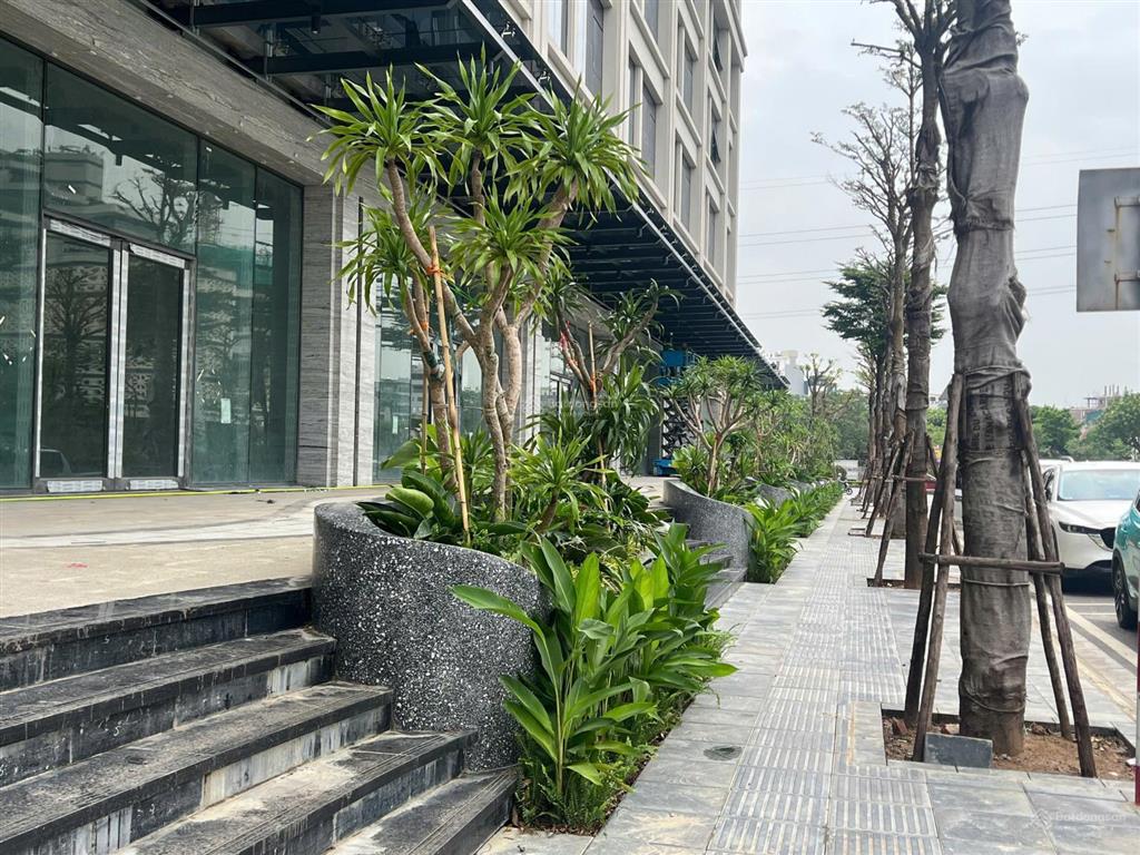 Bán nhà phố thương mại 7 tầng mỹ đình pearl  căn góc 2 mặt tiền  1253m2 sử dụng