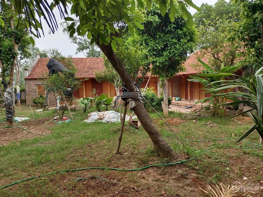 Bán nhà vườn đẹp tại minh phú, sóc sơn, hà nội dt 610m2 giá ưu đãi có thỏa thuận