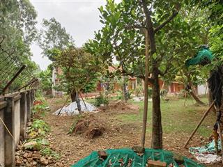 Bán nhà vườn đẹp tại minh phú, sóc sơn, hà nội dt 730m2 giá ưu đãi có thỏa thuận