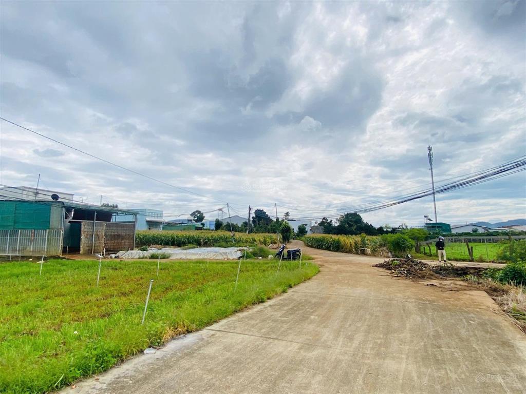 Chỉ 1,18 tỷ có ngay lô đất 150m2 cách ql20 150m. rẻ nhất khu vực thị trấn liên nghĩa cũ