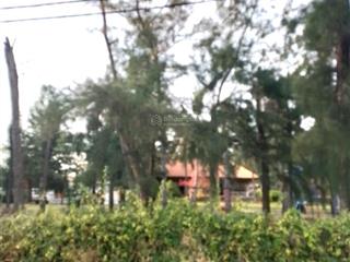 Bán đất cần thạnh cần giờ, 4.200 m2, mặt tiền biển, ngay da vingroup, giá chỉ 25tr/m2