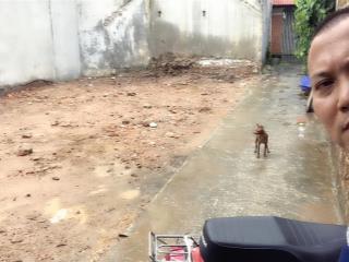 Đất thái hoà xã hợp đồng cmy lô góc 80mv . giá hơn 2tỷ.ngõ ô tô. sổ đỏ pháp lý rõ ràng.