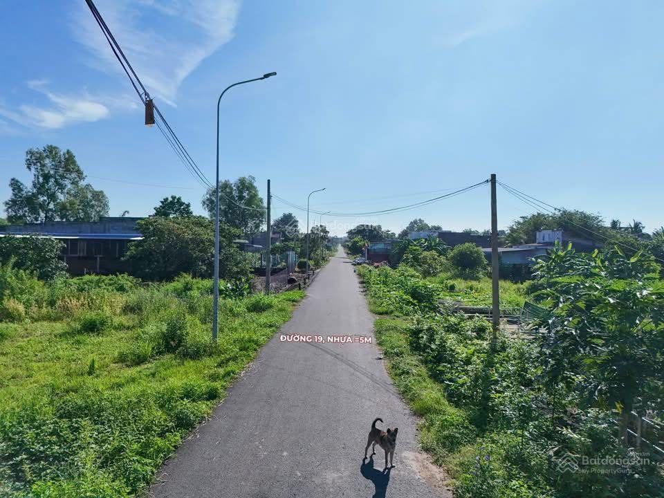 Bán đất tại đường 19, nghĩa thành, châu đức, bà rịa vũng tàu, giá siêu hời 2,3 tỷ, 426,3 m2