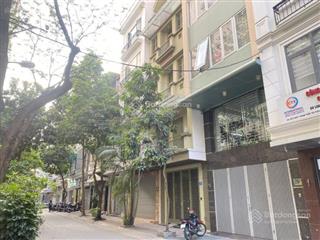 Cắt lỗ! trần quý kiên, cầu giấy, gần phố, 80m2, mặt tiền 8.2m, ô tô vào nhà, giá đầu tư