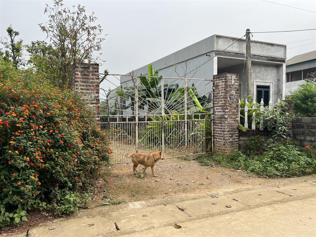 Bán đất vân hòa, ba vì, hà nội, 4,95 tỷ, 622 m2, hướng đông nam, mặt tiền 12m