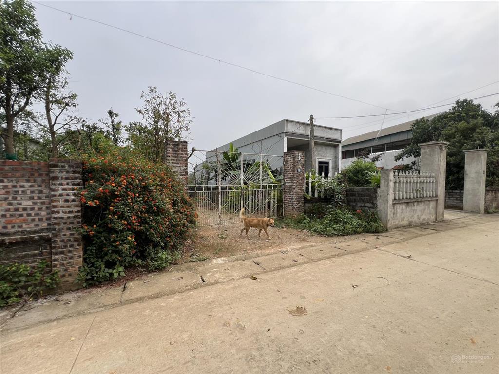 Bán đất vân hòa, ba vì, hà nội, 4,95 tỷ, 622 m2, hướng đông nam, mặt tiền 12m