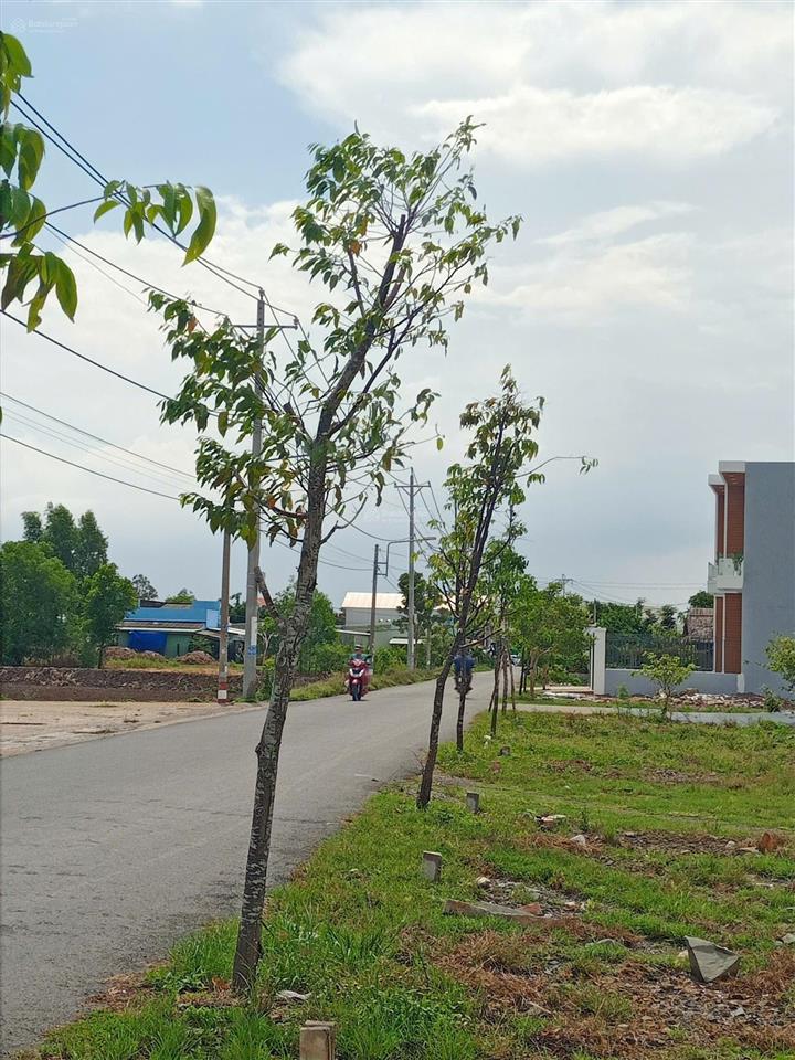 Đất ở đô thị thị trấn cần đước, shr, công chứng ngay